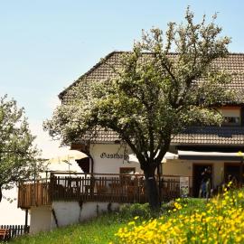 Webergütl