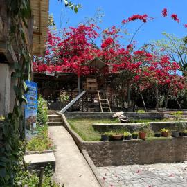 Paradise Camp, hotel in Monte das Gameleiras