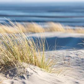 Familienwohnzelt ZELT UND SAND direkt am Strand, Hotel in Dranske