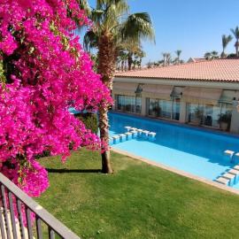 Cozy, Calm, Studio in Veranda Sahl Hasheesh Resort