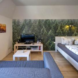 Auszeit-im-Harz Haus 1 Wohnung Brockenzwerg