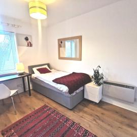 Single room in a charming apartment with the terrace in Sandymount، فندق في دبلن