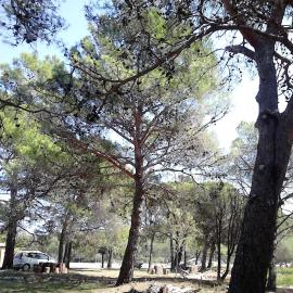 Eco Secluded apartments Zabodarski, hotel i Cunski