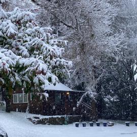 Willow Lodge