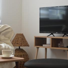 Studi-apartman Kestenov stan