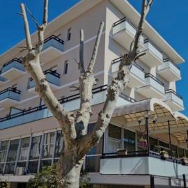 Hotel Kursaal, hotel in Bellaria-Igea Marina