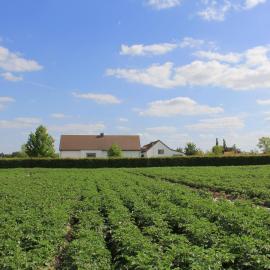 B&B De Luyckhoek, hotel a Handzame