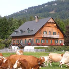 Die Traunmühle