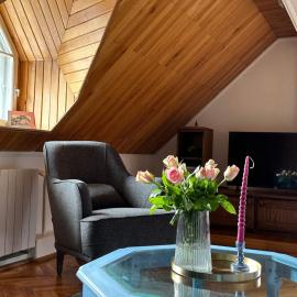 Pine Peak, hotel in Predeal