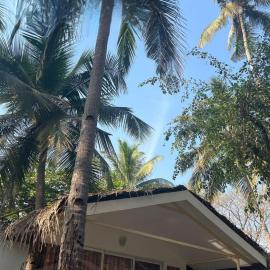 Taste of Nature, hotel di Canacona