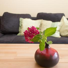 Ferienwohnung Anna