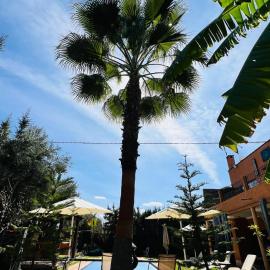 Villa avec Piscine Chauffée Privée pour Familles