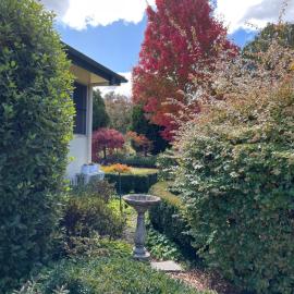 Lynrose Place