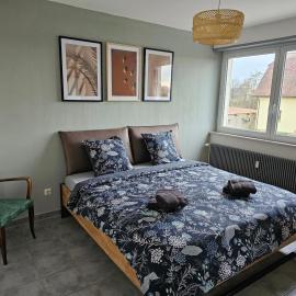Appartement Cocooning, Hotel in Roeschwoog