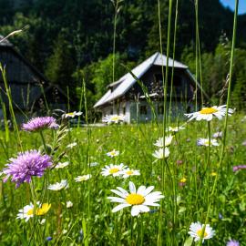 Guhar Homestead - Triglav Valley Retreat, hotel in Mojstrana