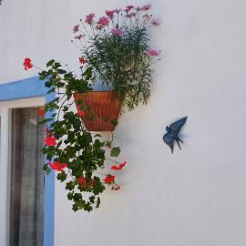 Casa do Brejão campo e praia, hotell sihtkohas Odemira