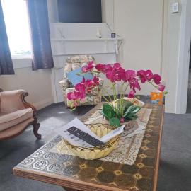 SUSAN'S SWEET HOME Hamilton CBD, hotel in Hamilton