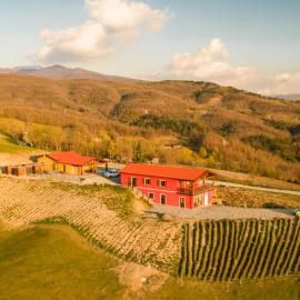 Azienda Agricola Saint Hubert