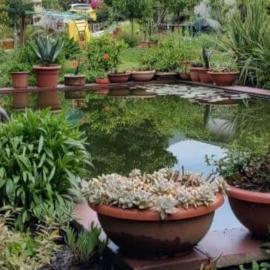 B&B Vegan La Mucca felice - Grazioso appartamento nel verde