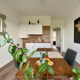 Schöne 1-Zimmer Wohnung mit Boxspringbett & Küche，梅謝尼希的飯店