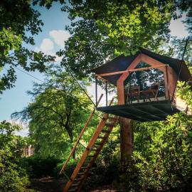 Boomkamp treehouses, hotell i Oostkamp