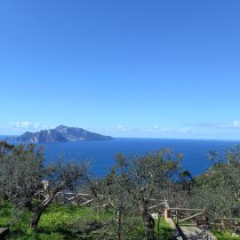 La finestra su Capri