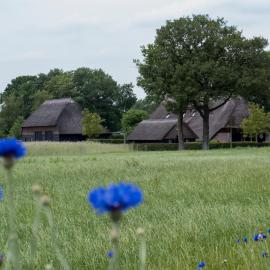 Gastenverblijf Lheederhof Lodges in monumentale boerderij, מלון בדווינגלו