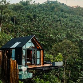 Selva Negra Cabins