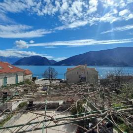 villa branka, hotel em Strp
