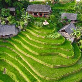 My's Homestay sapa