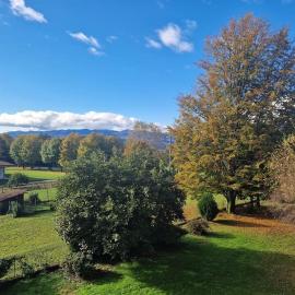 L'Oasi Amena