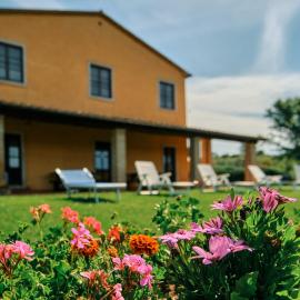 8380 Agriturismo il Saragiolo, khách sạn ở Manciano