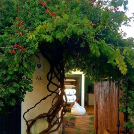 Conde Surf Camp - junto ao mar - entire pvt house