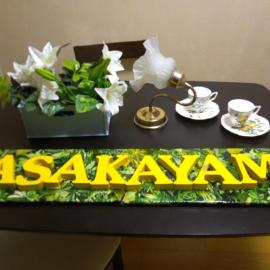 アサカヤマ　ゲストハウス, hotel a Sakai