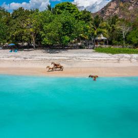 Scar Reef Resort - Beachfront Paradise HALF BOARD or NIGHT STAY, Hotel in Jereweh
