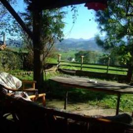 Bajo el arce del parque de Cabarceno , casa rural