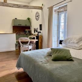 Studio la Grange, Hotel in Fontevraud L'Abbaye