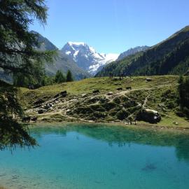 Apartment Panorama, hotel em Arolla