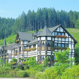 Hotel Jagdhof Glashütte, khách sạn ở Bad Laasphe
