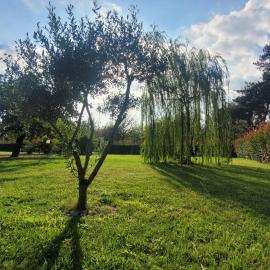 Il giardino di Marianna, hotel Novi Liguréban