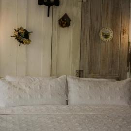 Bed & Breakfast private room and bath, hotel in Edwardsburg