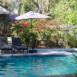 Acacia Cottage, hotel v destinácii Maun