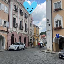 ZMRZLINOVÝ DOMEČEK (Ice cream housei)