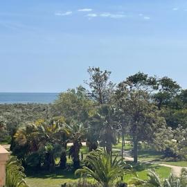 JARDINES DE ISLA CANELA By SIT ISLA CANELA -REF 250-