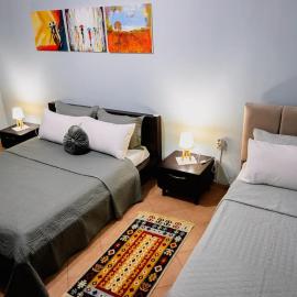 Spacious Apartment next to Pazar，科爾察的飯店