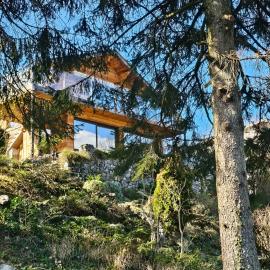 Bois des Alpes, viešbutis Ansi