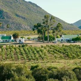 Bronze Grove Farm and Chalets, hotel a Barrydale