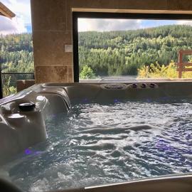 Les Fougères 12 personnes SPA/SAUNA, hotel en Le Tholy