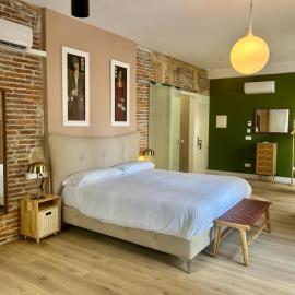 Albany ANCHA, hotel a Lleó