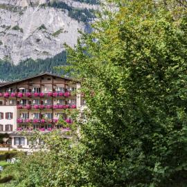 Hotel Adula, хотел в Флимс